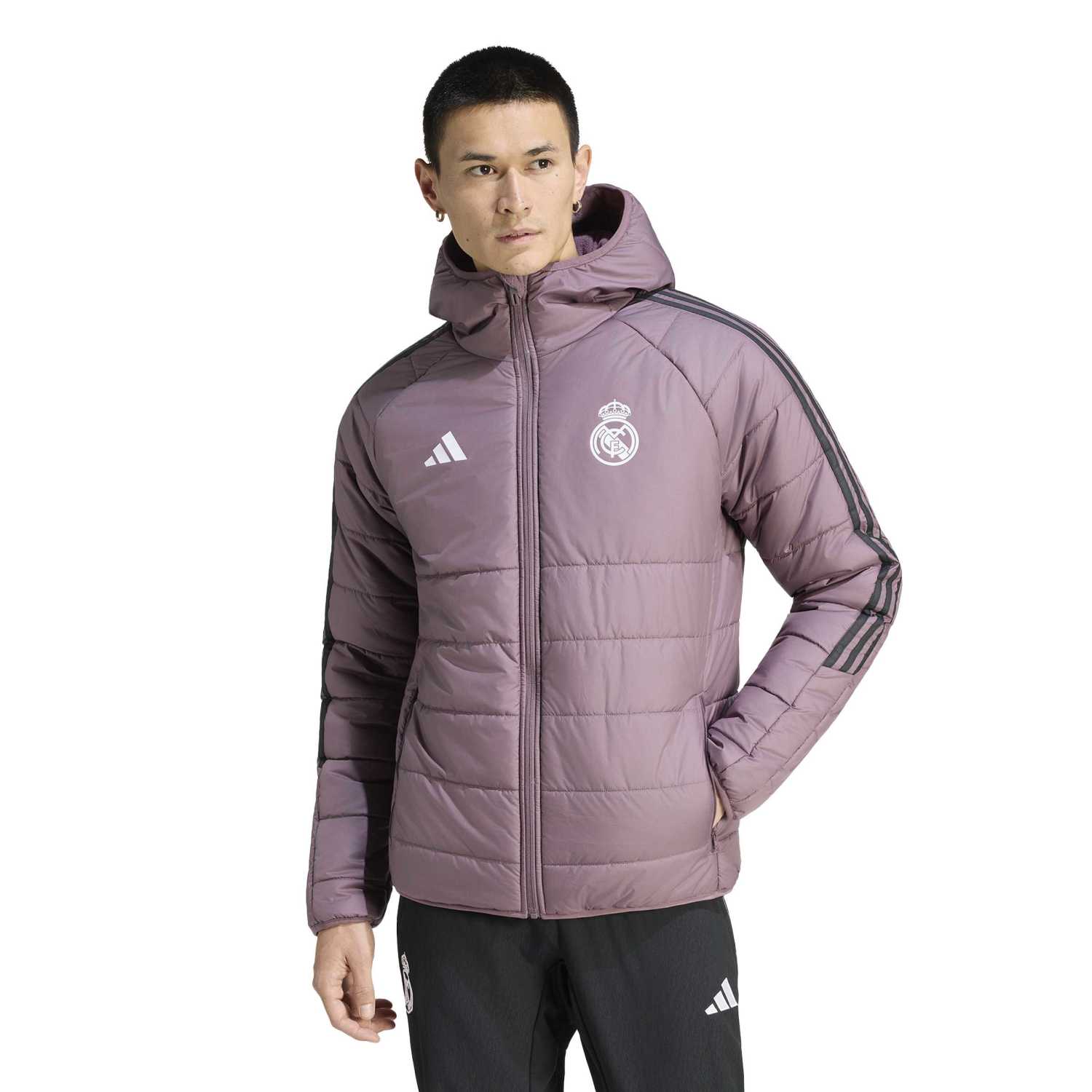 Chaqueta Invierno Hombre adidas Entrenamiento 25/26 Morada - Image 2