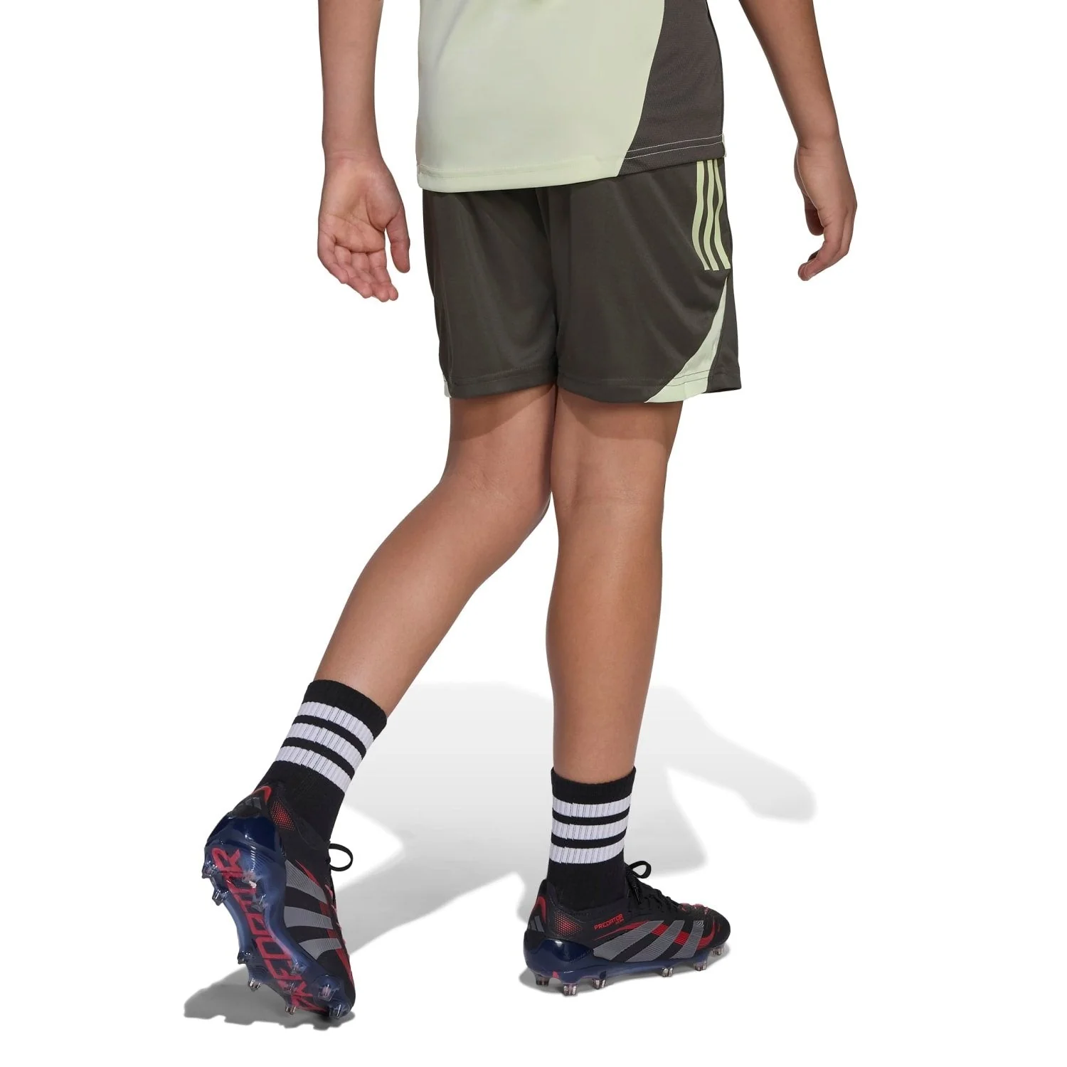 Pantalones Cortos Niños adidas Entrenamiento 25/26 Caqui Oscuro - Image 3